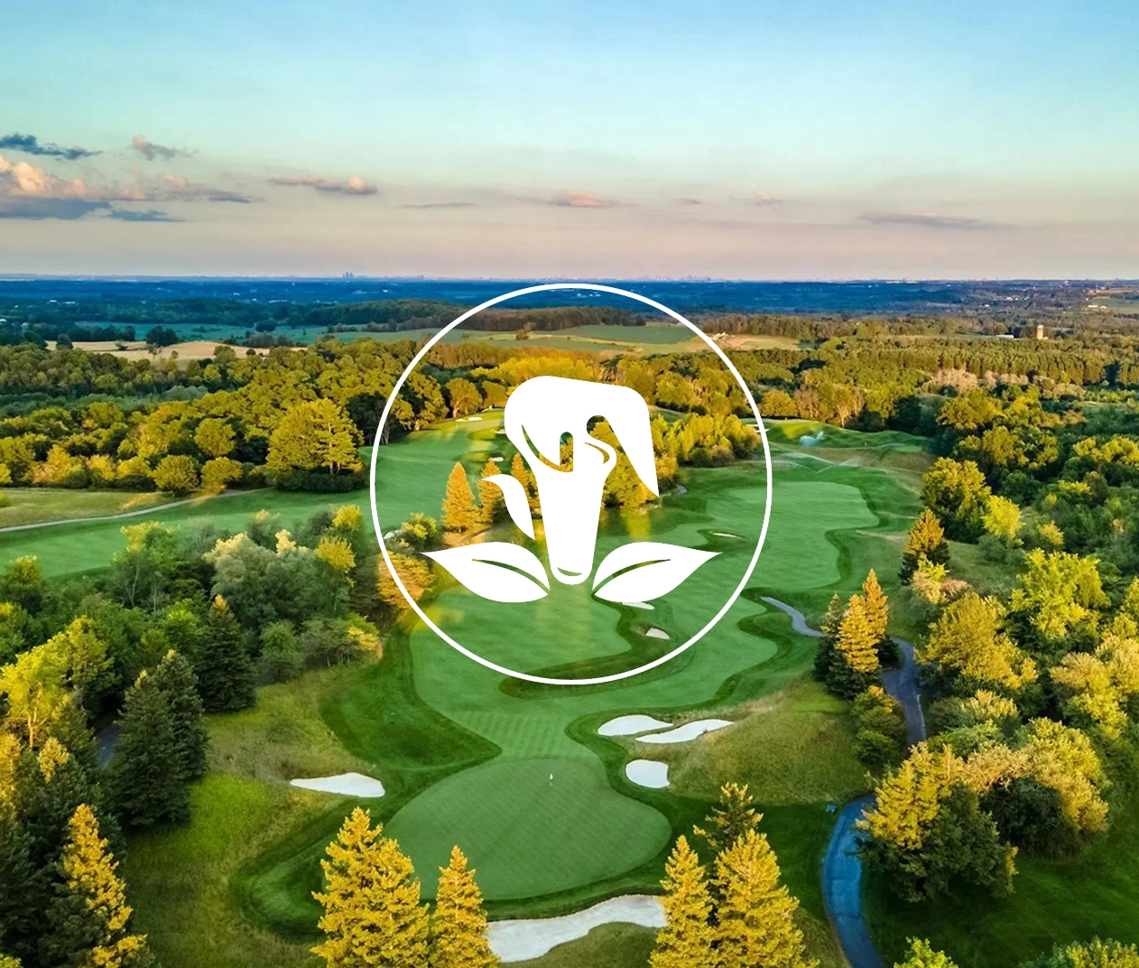 The opened flower logo