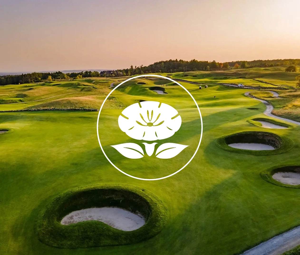 The closed flower logo